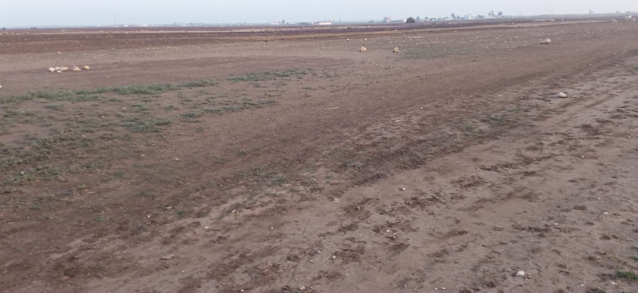أبحث عن ممول أو شريك